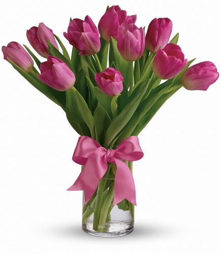 Precious Pink Tulips